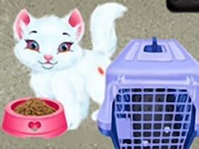 Baby Taylor Pet Care