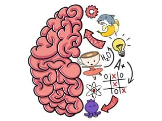 Brain Tricky Puzzles