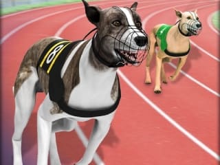 Greyhound Racing