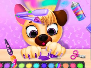 Pet Haircut Beauty Salon