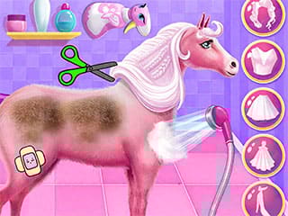 Princess Horse Caring