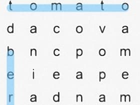 Word Search 3